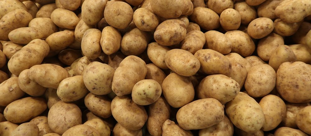 multiple potatoes